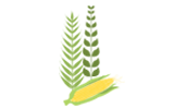 Grain Icon